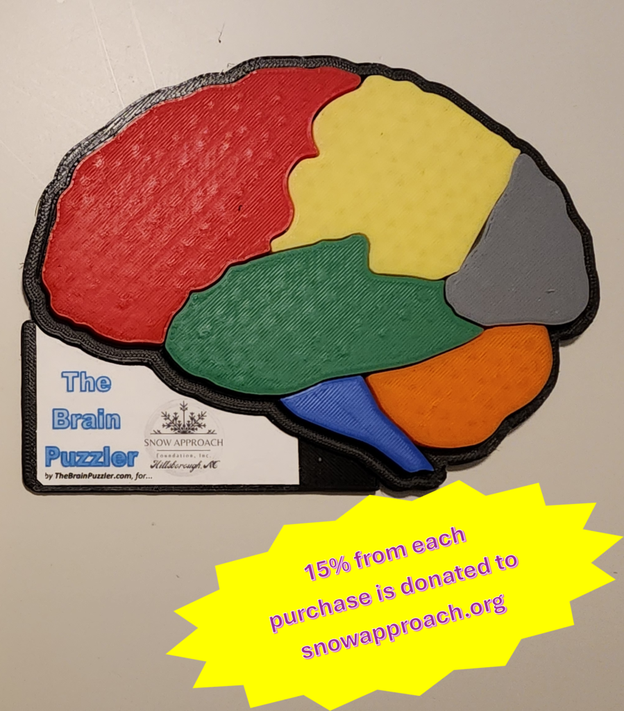 Basic brain with donation