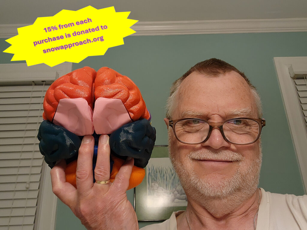Mega-sized Brain