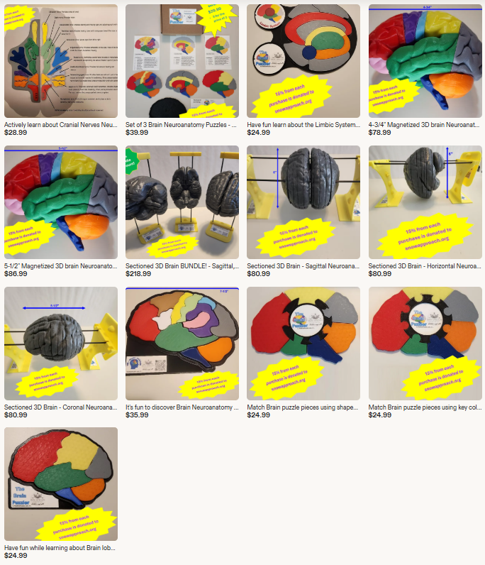TheBrainPuzzler active products.